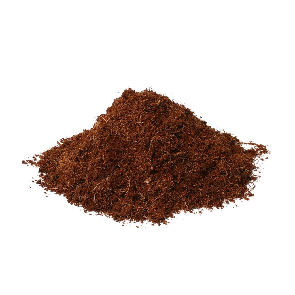 MIDOLLO COCCO 95-5 - SFUSO